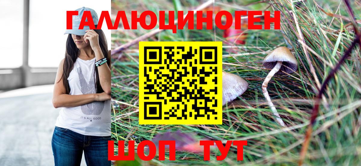 Псилоцибиновые грибы мухоморы Ярцево